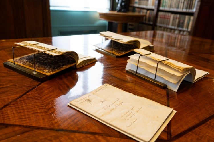 Libros en la Biblioteca de la RAE (foto: RAE)