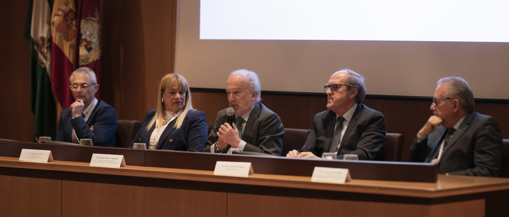 Presentación de la Red Panhispánica de Lenguaje Claro y la Plataforma Jurídica Iberoamericana (foto: RAE)