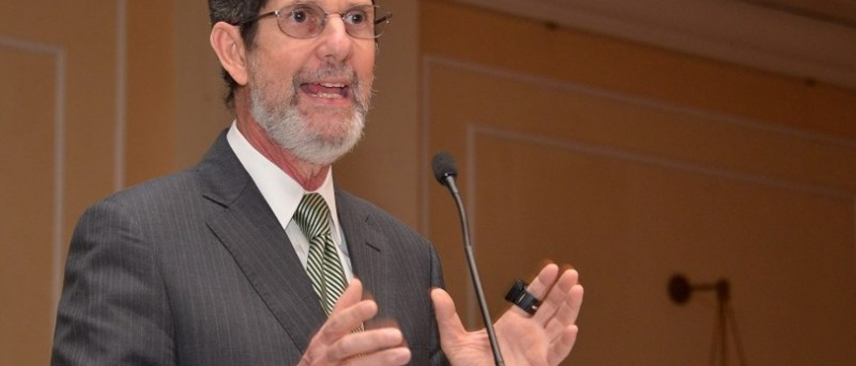 Fabio Guzmán Ariza, miembro de número de la Academia Dominicana de la Lengua. Foto: Tusolcaribe.net