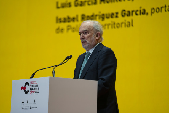 Santiago Muñoz Machado, director de la RAE y presidente de la ASALE (foto: RAE)