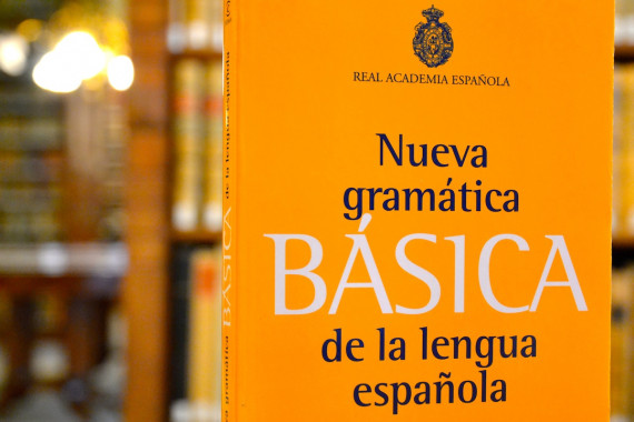 «Nueva gramática básica de la lengua española»