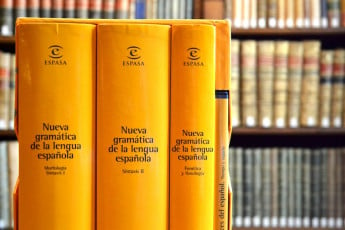 Nueva gramática