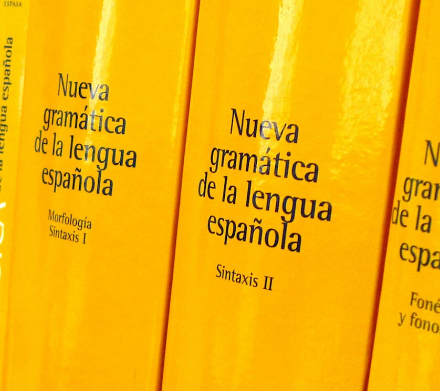 «Nueva gramática de la lengua española», 2009-2011