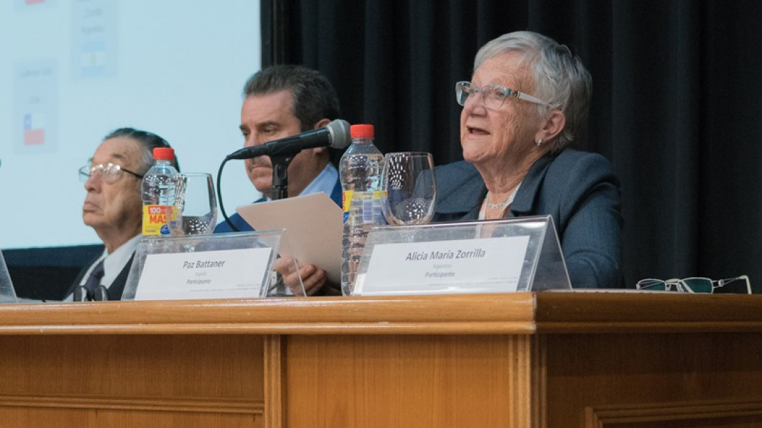 Intervención de la académica Paz Battaner.