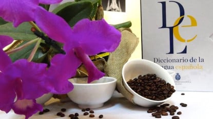 Detalle de la presentación del «Diccionario» en Costa Rica. Foto: Ministerio de Cultura y Juventud.