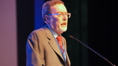 Guillermo Rojo, académico coordinador del CORPES XXI.