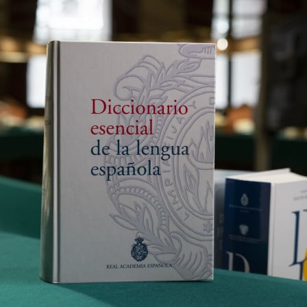 Diccionario esencial de la lengua española